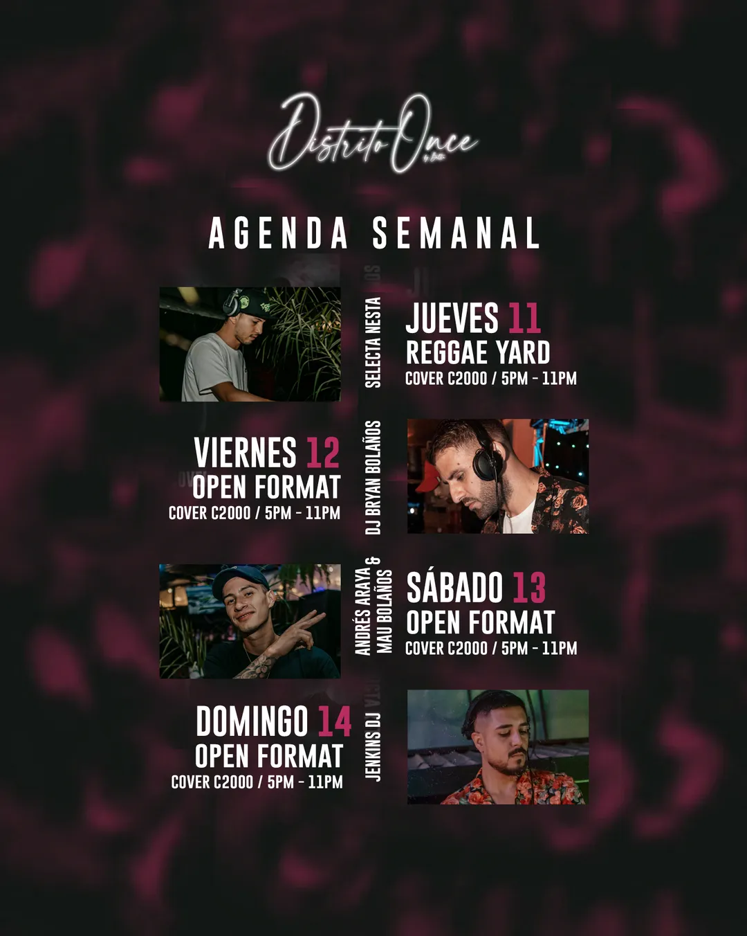 Distrito 11 — Feed — 04